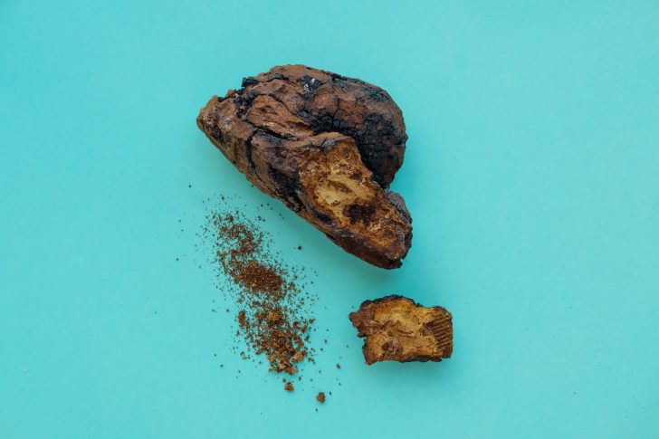 Chaga Mushroom For Wellness ⋆ Food Health & Parenting Tips